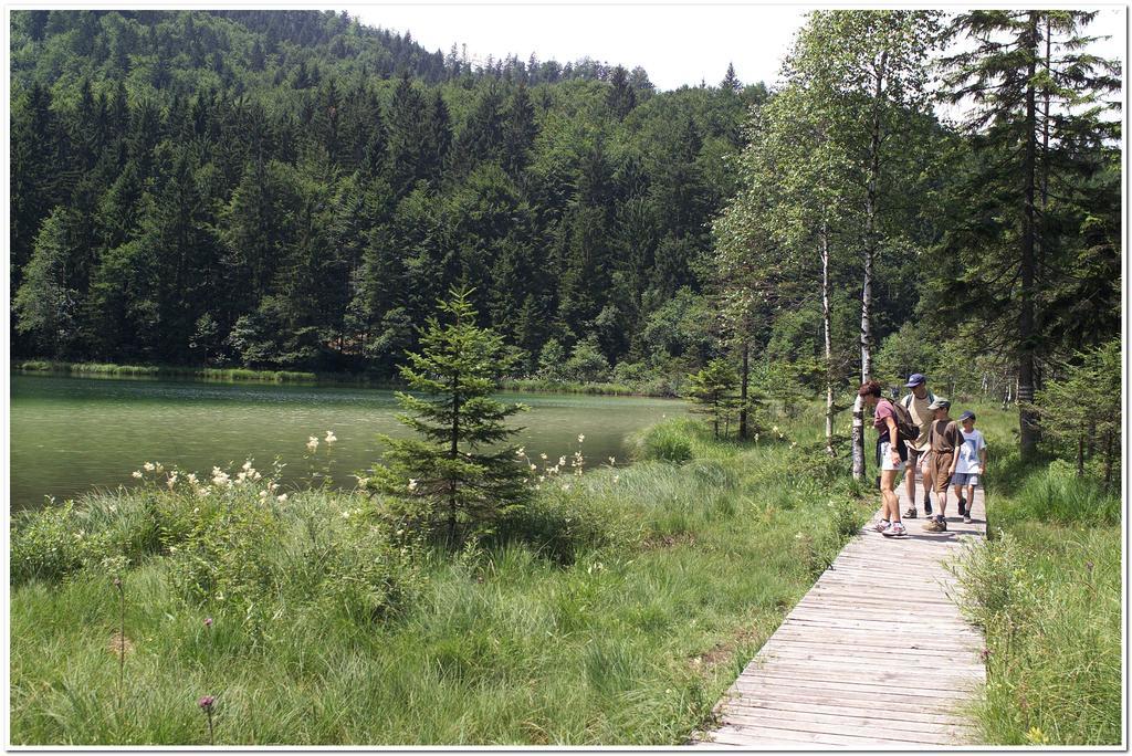 Aktivhotel & Gasthof Schmelz Ihr Urlaubs Hotel In Inzell Mit Wellness Hallenbad, Alpensauna & Dampfbad Eksteriør billede